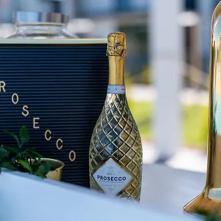 & Cieplice Zdroj Jelenia Góra